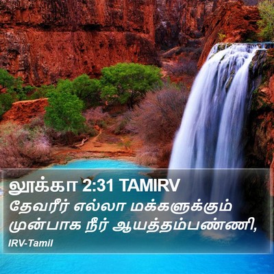 லூக்கா 2:31 TAMIRV Bible Verse Image