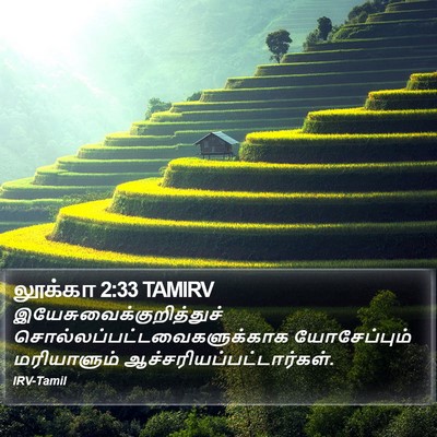 லூக்கா 2:33 TAMIRV Bible Verse Image