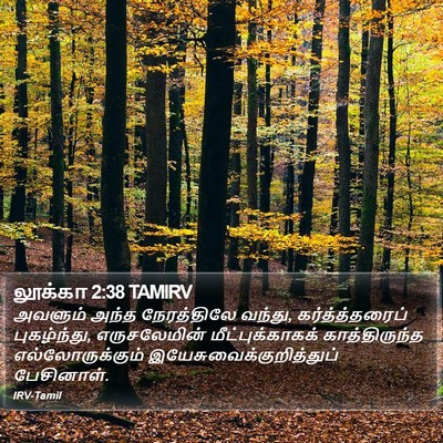 லூக்கா 2:38 TAMIRV Bible Verse Image