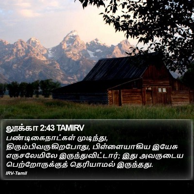 லூக்கா 2:43 TAMIRV Bible Verse Image