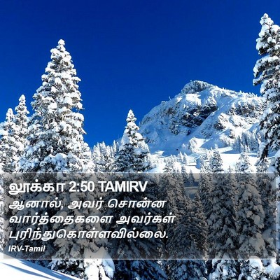 லூக்கா 2:50 TAMIRV Bible Verse Image
