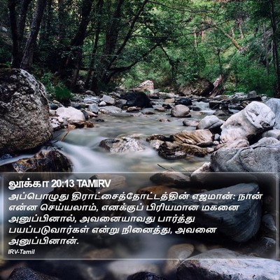 லூக்கா 20:13 TAMIRV Bible Verse Image