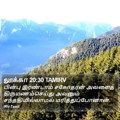 லூக்கா 20:30 TAMIRV Bible Verse Image