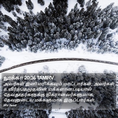 லூக்கா 20:36 TAMIRV Bible Verse Image
