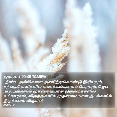 லூக்கா 20:46 TAMIRV Bible Verse Image