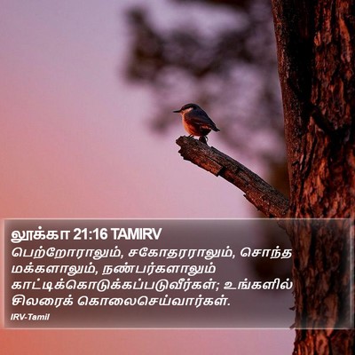 லூக்கா 21:16 TAMIRV Bible Verse Image