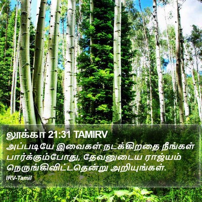 லூக்கா 21:31 TAMIRV Bible Verse Image