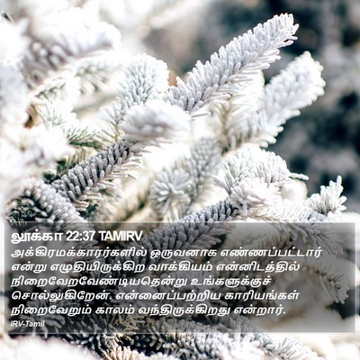 லூக்கா 22:37 TAMIRV Bible Verse Image