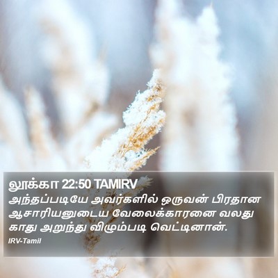 லூக்கா 22:50 TAMIRV Bible Verse Image