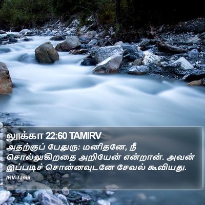 லூக்கா 22:60 TAMIRV Bible Verse Image