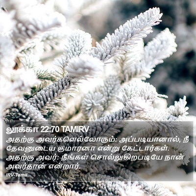 லூக்கா 22:70 TAMIRV Bible Verse Image