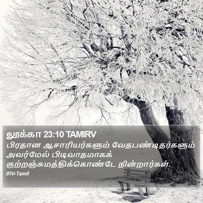 லூக்கா 23:10 TAMIRV Bible Verse Image
