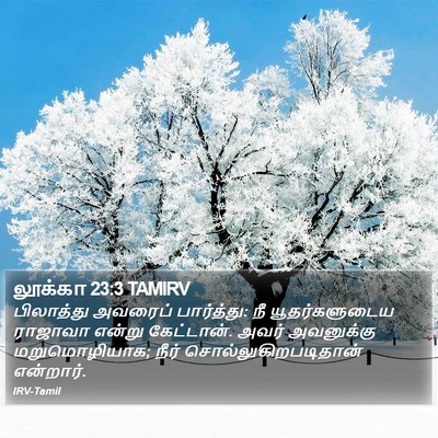 லூக்கா 23:3 TAMIRV Bible Verse Image