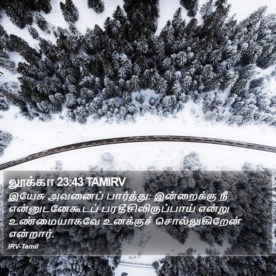 லூக்கா 23:43 TAMIRV Bible Verse Image