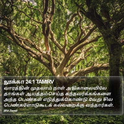 லூக்கா 24:1 TAMIRV Bible Verse Image