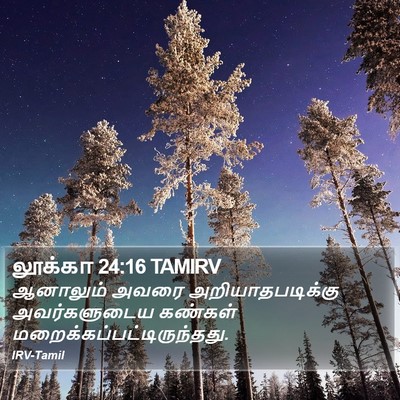 லூக்கா 24:16 TAMIRV Bible Verse Image