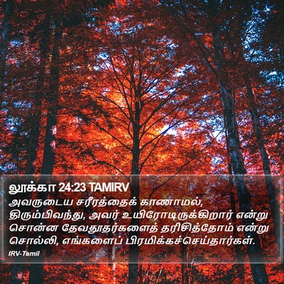 லூக்கா 24:23 TAMIRV Bible Verse Image