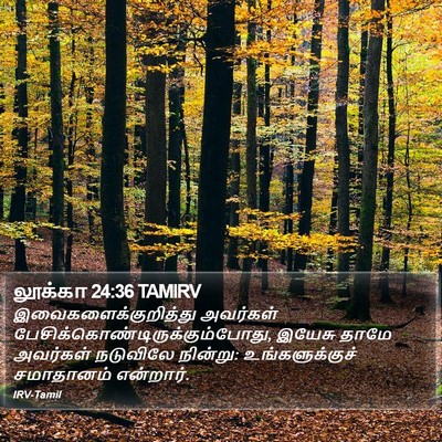 லூக்கா 24:36 TAMIRV Bible Verse Image
