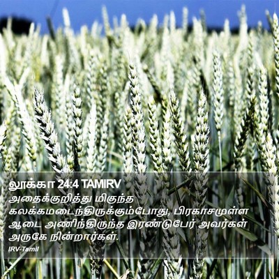 லூக்கா 24:4 TAMIRV Bible Verse Image
