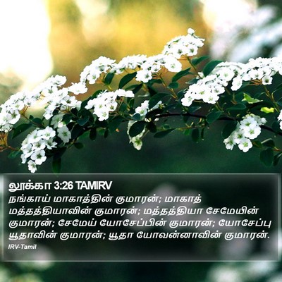 லூக்கா 3:26 TAMIRV Bible Verse Image