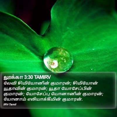 லூக்கா 3:30 TAMIRV Bible Verse Image