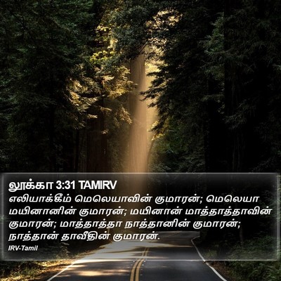 லூக்கா 3:31 TAMIRV Bible Verse Image