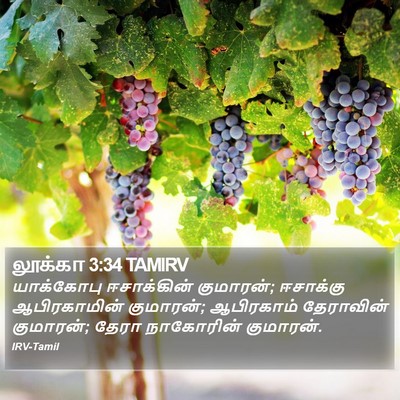 லூக்கா 3:34 TAMIRV Bible Verse Image