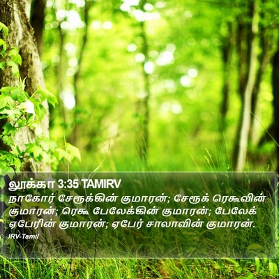 லூக்கா 3:35 TAMIRV Bible Verse Image