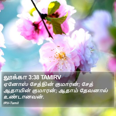 லூக்கா 3:38 TAMIRV Bible Verse Image
