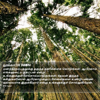 லூக்கா 3:8 TAMIRV Bible Verse Image