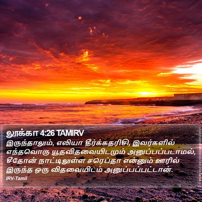 லூக்கா 4:26 TAMIRV Bible Verse Image