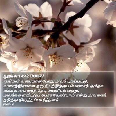 லூக்கா 4:42 TAMIRV Bible Verse Image