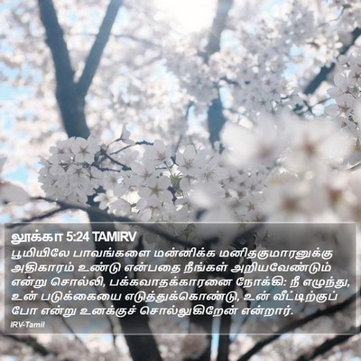 லூக்கா 5:24 TAMIRV Bible Verse Image