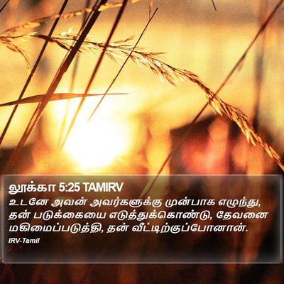 லூக்கா 5:25 TAMIRV Bible Verse Image