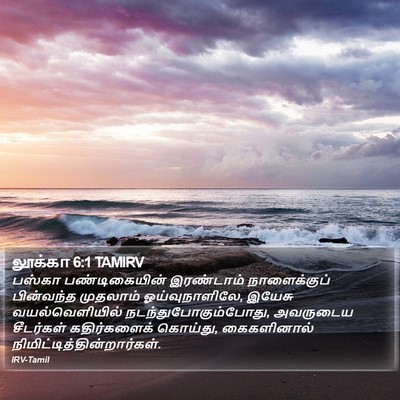 லூக்கா 6:1 TAMIRV Bible Verse Image