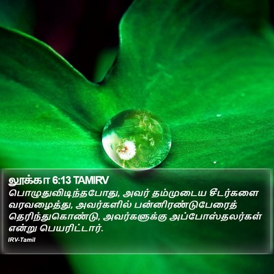 லூக்கா 6:13 TAMIRV Bible Verse Image