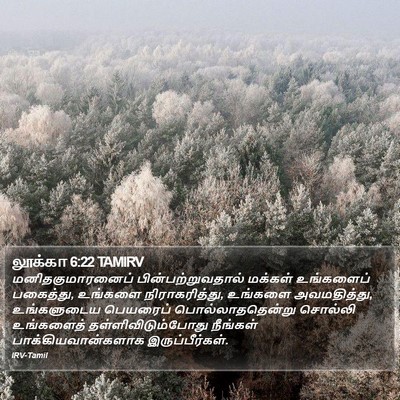 லூக்கா 6:22 TAMIRV Bible Verse Image