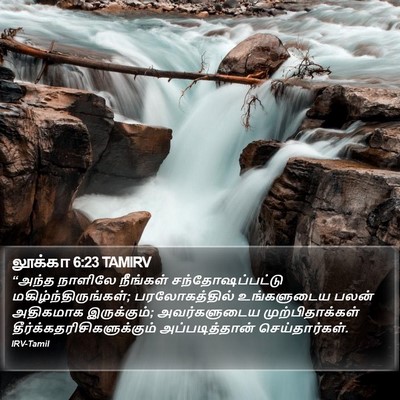 லூக்கா 6:23 TAMIRV Bible Verse Image