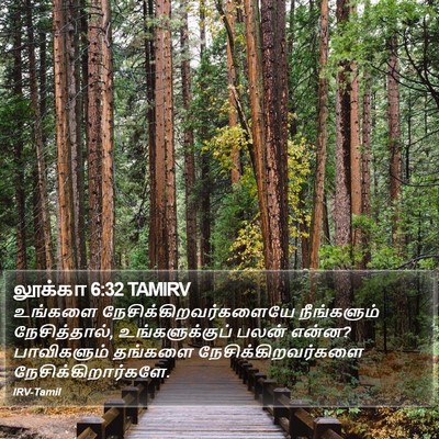 லூக்கா 6:32 TAMIRV Bible Verse Image