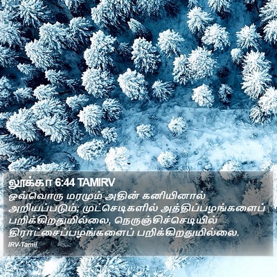 லூக்கா 6:44 TAMIRV Bible Verse Image