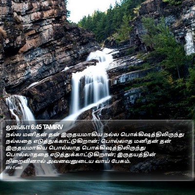 லூக்கா 6:45 TAMIRV Bible Verse Image