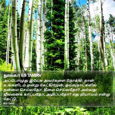 லூக்கா 6:9 TAMIRV Bible Verse Image