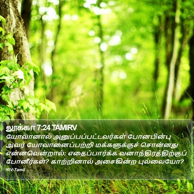லூக்கா 7:24 TAMIRV Bible Verse Image