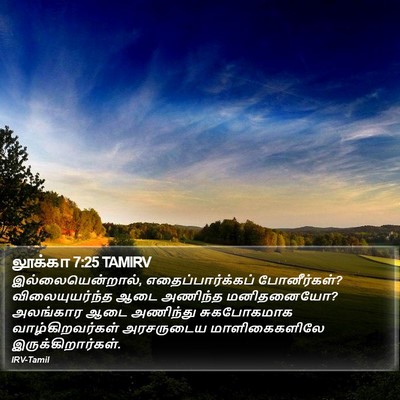 லூக்கா 7:25 TAMIRV Bible Verse Image