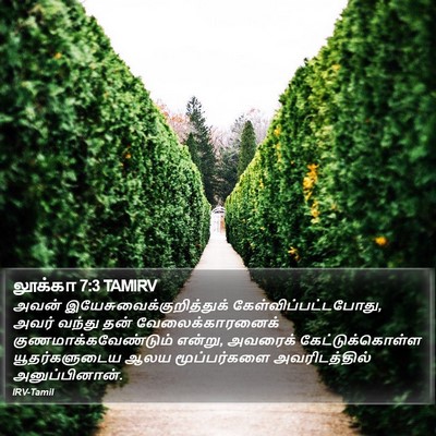 லூக்கா 7:3 TAMIRV Bible Verse Image