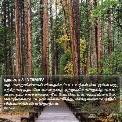 லூக்கா 8:13 TAMIRV Bible Verse Image