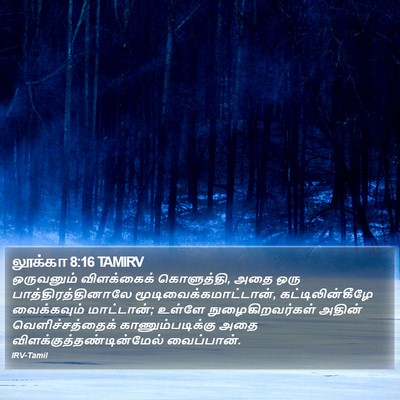 லூக்கா 8:16 TAMIRV Bible Verse Image