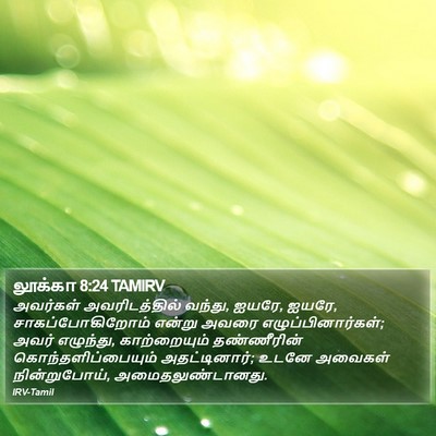 லூக்கா 8:24 TAMIRV Bible Verse Image