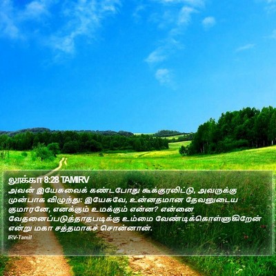 லூக்கா 8:28 TAMIRV Bible Verse Image