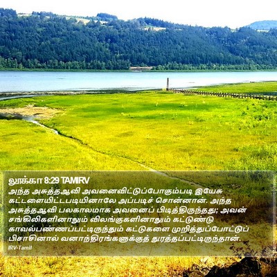 லூக்கா 8:29 TAMIRV Bible Verse Image